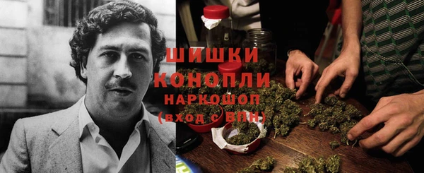 ПСИЛОЦИБИНОВЫЕ ГРИБЫ Болхов