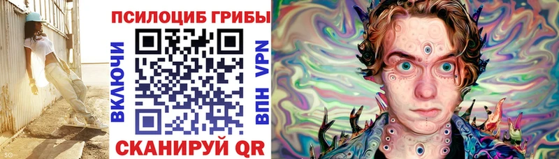 купить   Поворино  Псилоцибиновые грибы Psilocybe 